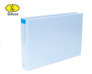 �����ν�BIGPROS  S845 A3 5cm(��) ���� ��ٸ����δ�(5����) /����