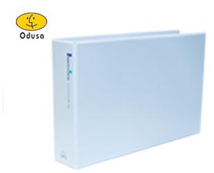 �����ν�BIGPROS D848 A3 9cm(��) ���� D�����δ� 1��/5���� (����)